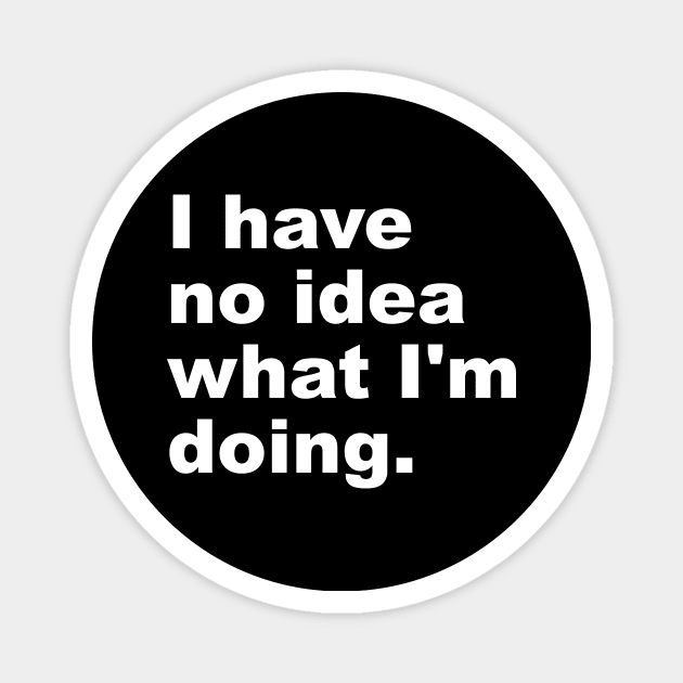 I Have No Idea What I'm Doing Magnet by Lasso Print